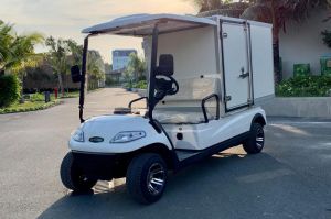 Xe điện chở hàng LT-A627.GC