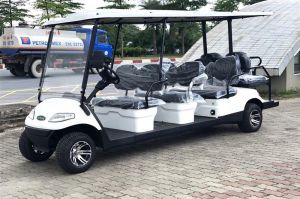 Xe điện LT-A627.6+2