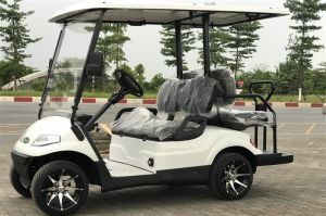 Xe điện LT-A627.2+2