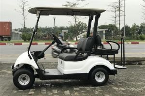 Xe điện Yamaha 4 chỗ Nhật Bản