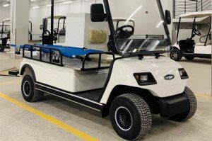 Xe chở bệnh nhân LT-A2.HS