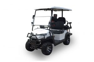 Xe golf điện 2 chỗ ZYE GD6-Z2