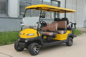 Xe điện 6 chỗ (4+2) ZYE GD6-Z4C