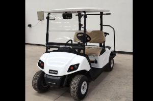 Xe golf điện 2 chỗ Wayda WD-2GE