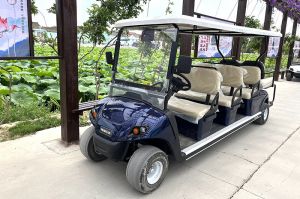 Xe điện 6 chỗ Wayda WD- 4+2GE