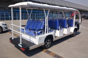 Xe điện du lịch 14 chỗ Wayda HLDGD14A