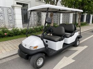 Xe điện du lịch vncar 6 chỗ (95%)