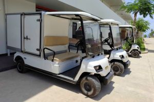 Xe điện chở hàng thùng kín composite