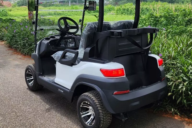 Xe điện golf 2 chỗ Zycar