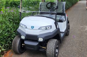 Xe điện golf 2 chỗ Zycar