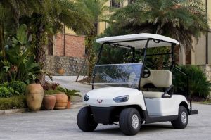 Xe điện golf 2 chỗ Wuling