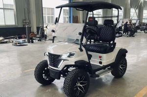 Xe điện golf 2 chỗ Kaile