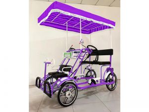 Xe đạp du lịch 2 chỗ