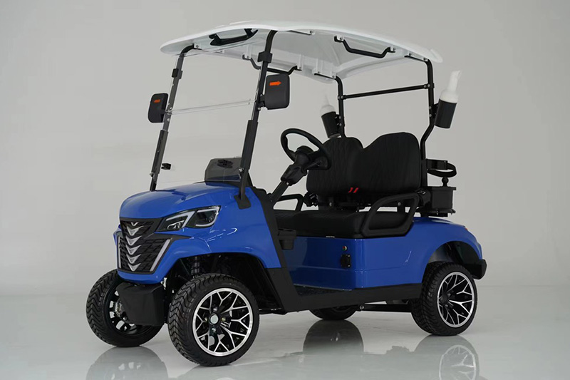 Xe điện sân Golf 2 chỗ Dachi