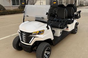 Xe điện sân Golf 4+2 chỗ Dachi