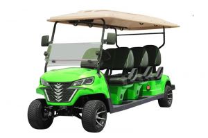Xe điện sân Golf 6 chỗ Dachi