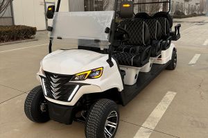 Xe điện sân Golf 6+2 chỗ Dachi