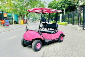 Bán xe điện Yamaha 2 chỗ Nhật Bản