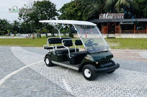 Xe Điện Golf cũ Yamaha 8 Chỗ JN4 (mới 99%) mầu xanh rêu