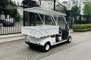 Xe điện chở hàng Yamaha Thùng lửng