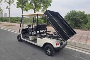 Xe điện Golf chở hàng 500kg