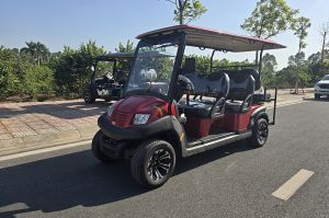 Xe điện Golf 4 chỗ +2 Eagle