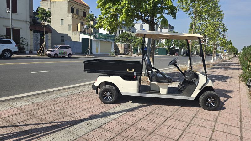 Xe điện chở chở hàng thùng thành lửng 500kg